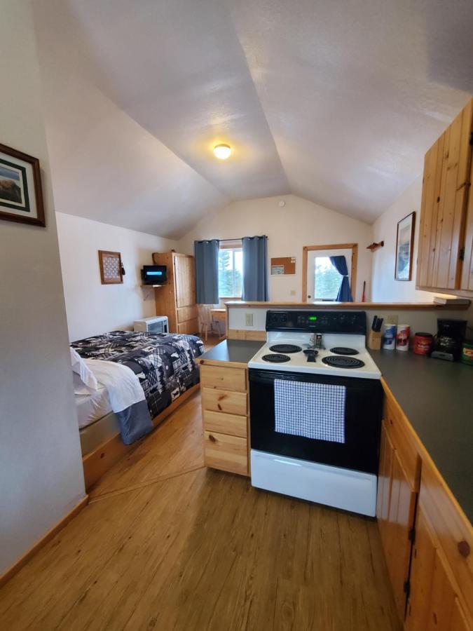 Denali'S Alaskan Spruce Cabins ฮีลี ภายนอก รูปภาพ