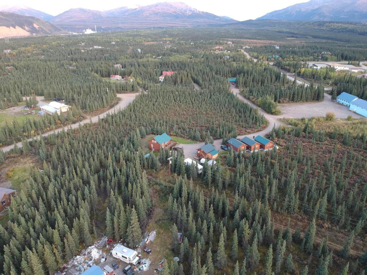 Denali'S Alaskan Spruce Cabins ฮีลี ภายนอก รูปภาพ