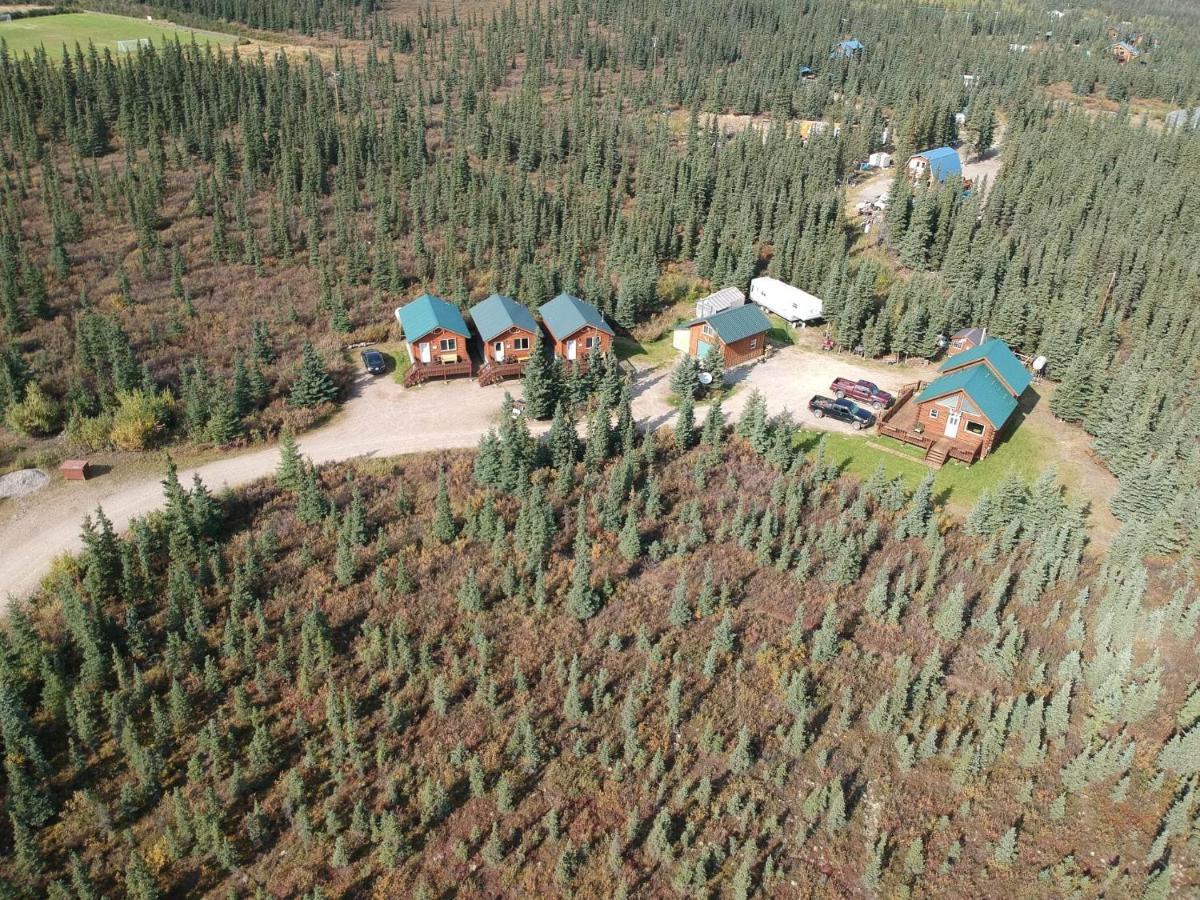 Denali'S Alaskan Spruce Cabins ฮีลี ภายนอก รูปภาพ