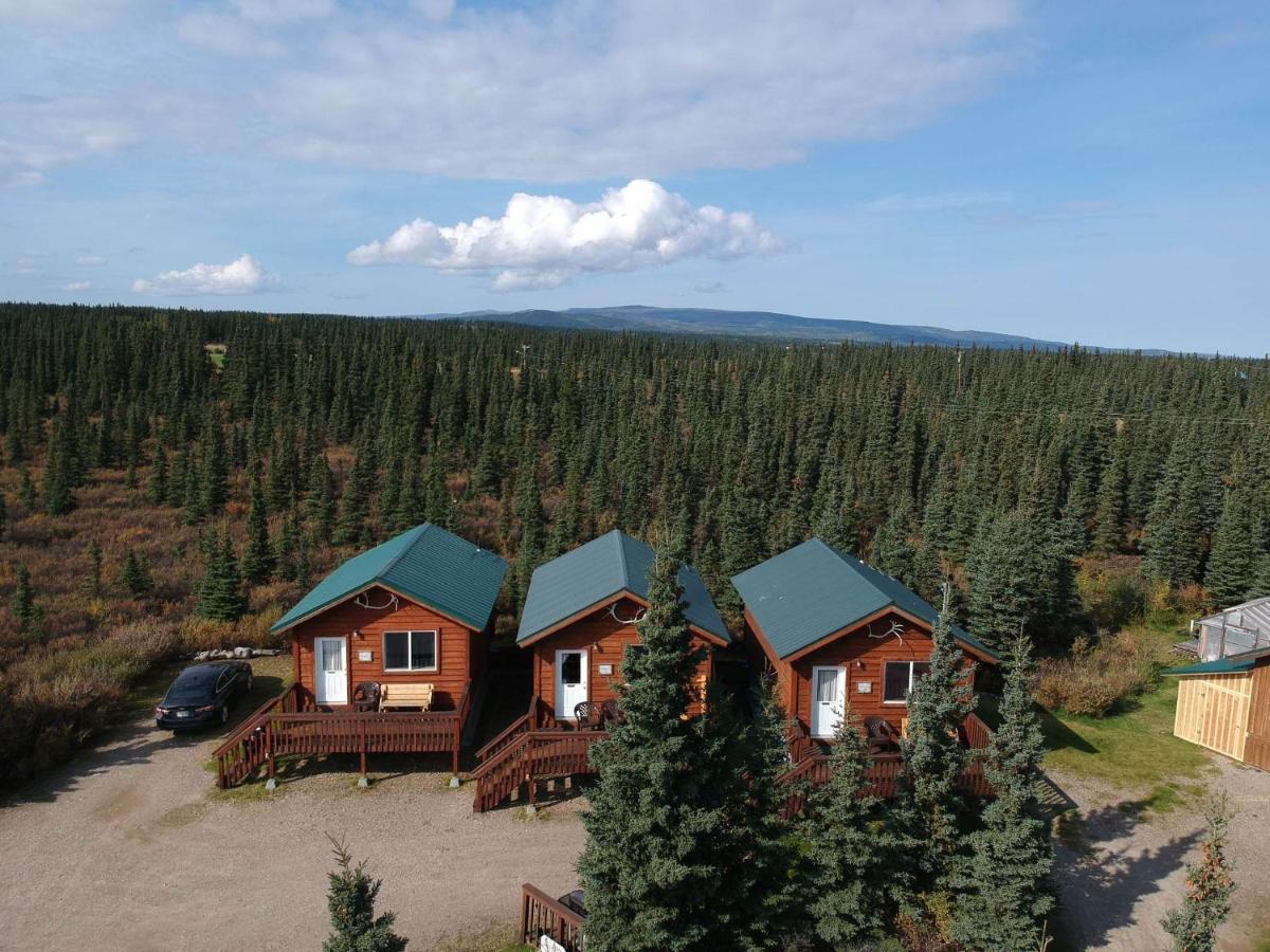 Denali'S Alaskan Spruce Cabins ฮีลี ภายนอก รูปภาพ