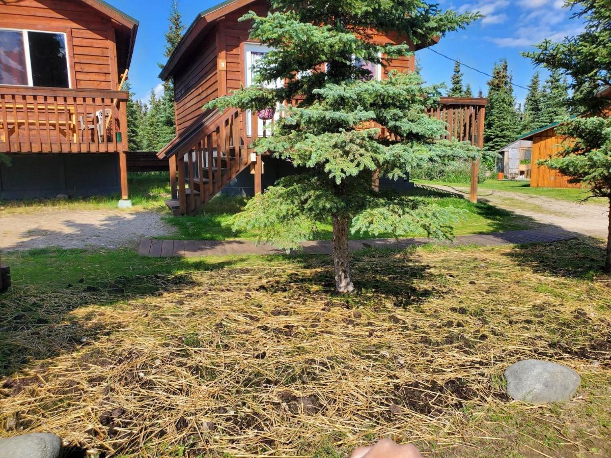 Denali'S Alaskan Spruce Cabins ฮีลี ภายนอก รูปภาพ