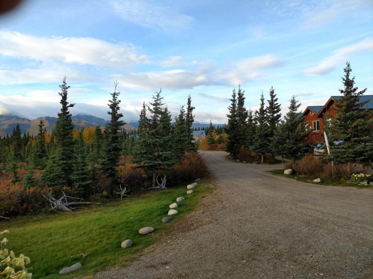 Denali'S Alaskan Spruce Cabins ฮีลี ภายนอก รูปภาพ