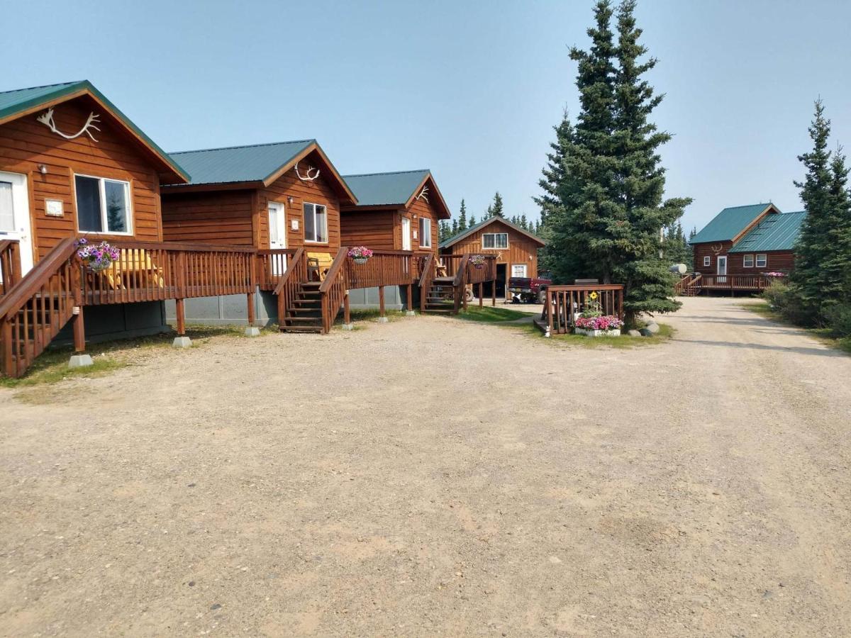 Denali'S Alaskan Spruce Cabins ฮีลี ภายนอก รูปภาพ