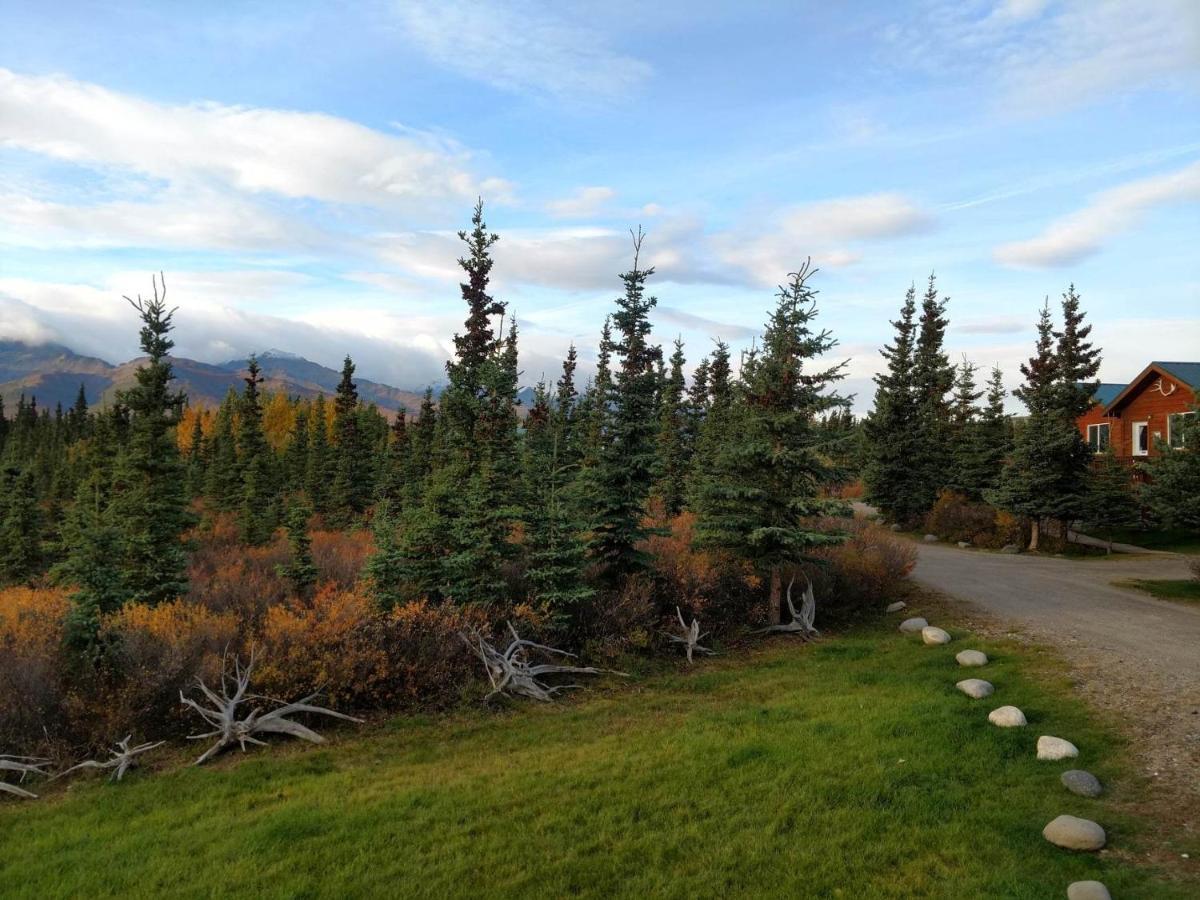 Denali'S Alaskan Spruce Cabins ฮีลี ภายนอก รูปภาพ