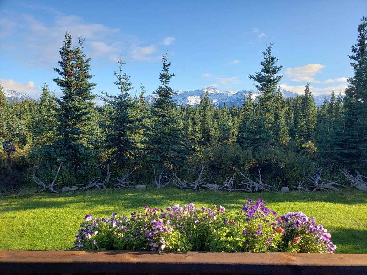 Denali'S Alaskan Spruce Cabins ฮีลี ภายนอก รูปภาพ