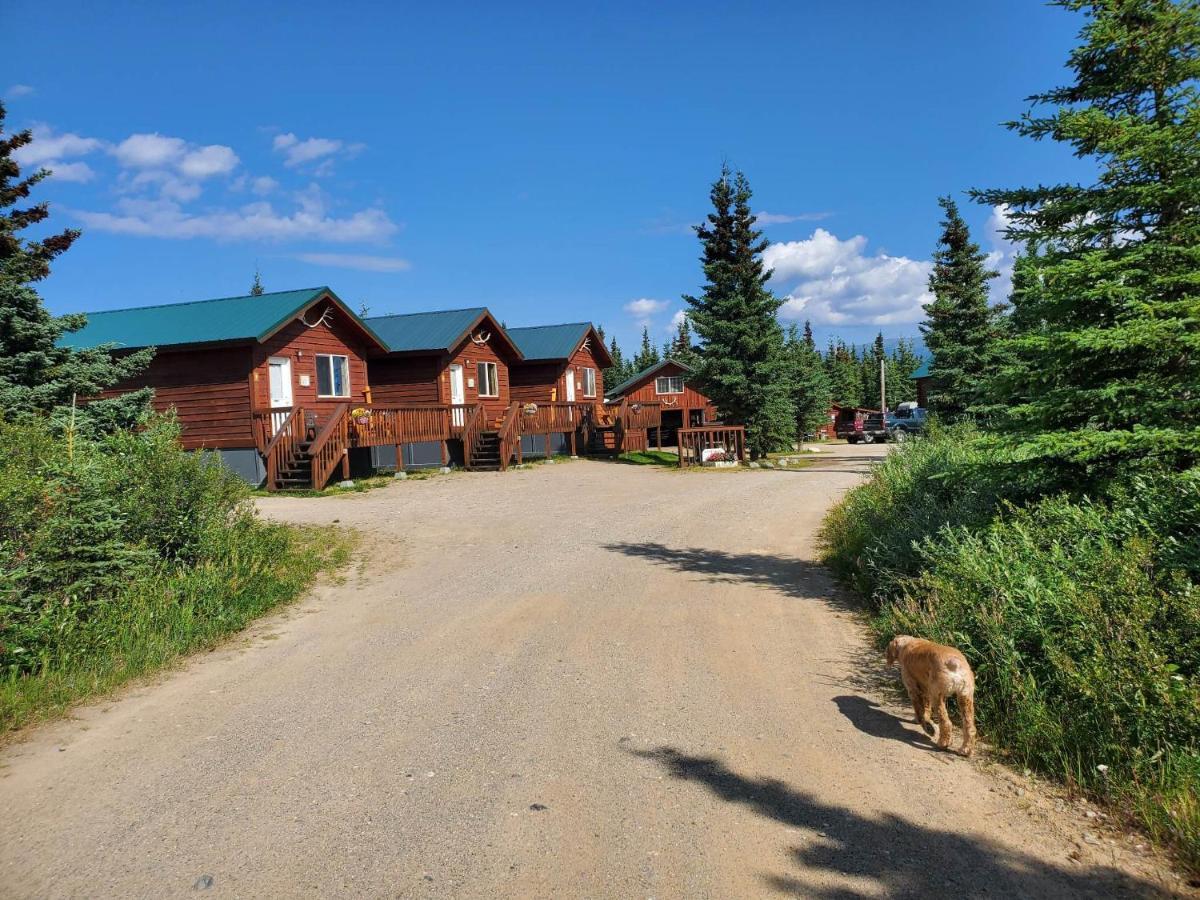 Denali'S Alaskan Spruce Cabins ฮีลี ภายนอก รูปภาพ
