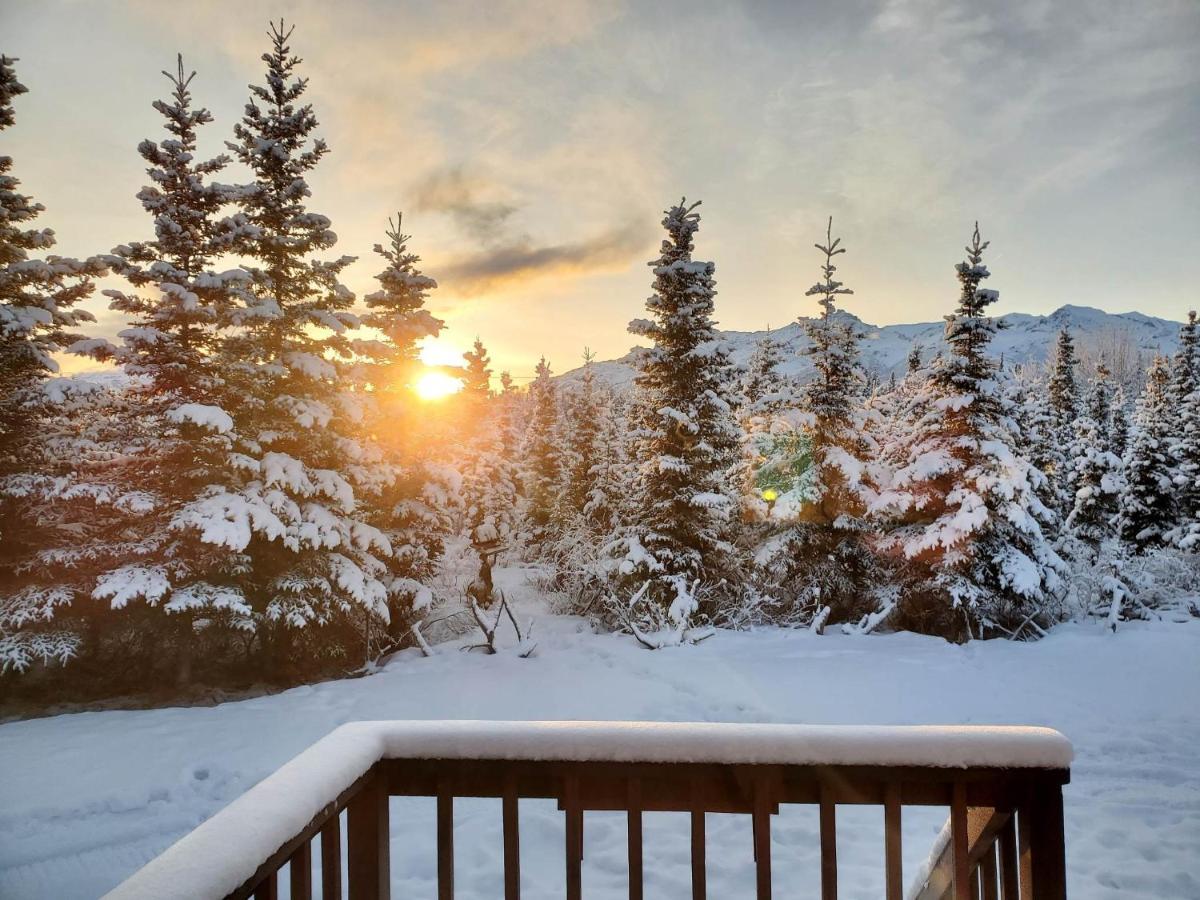 Denali'S Alaskan Spruce Cabins ฮีลี ภายนอก รูปภาพ