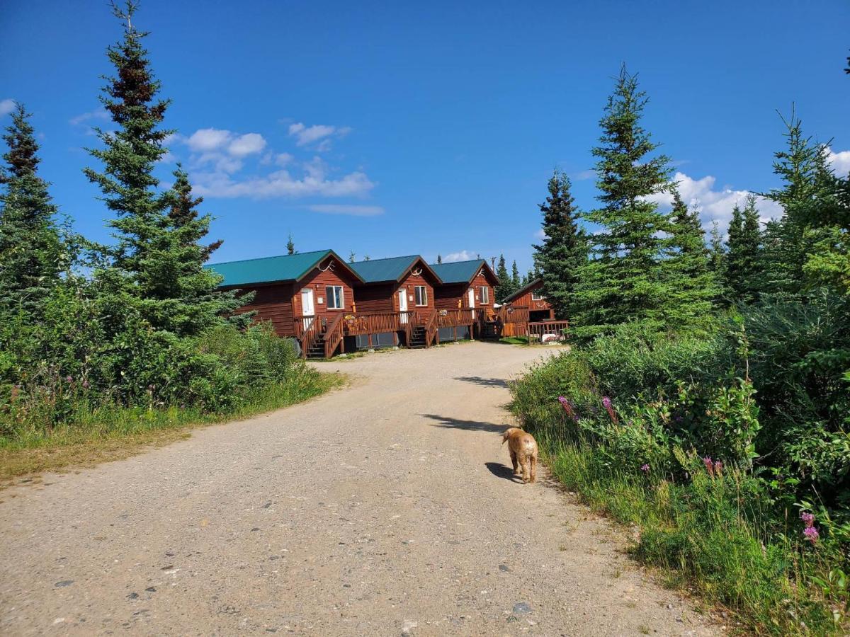 Denali'S Alaskan Spruce Cabins ฮีลี ภายนอก รูปภาพ
