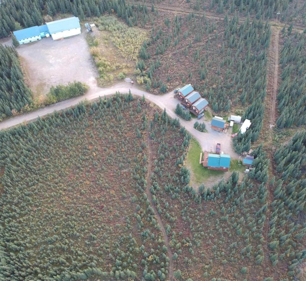 Denali'S Alaskan Spruce Cabins ฮีลี ภายนอก รูปภาพ