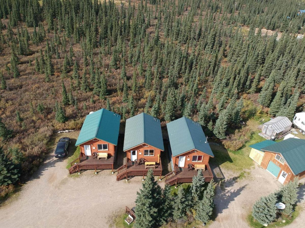 Denali'S Alaskan Spruce Cabins ฮีลี ภายนอก รูปภาพ