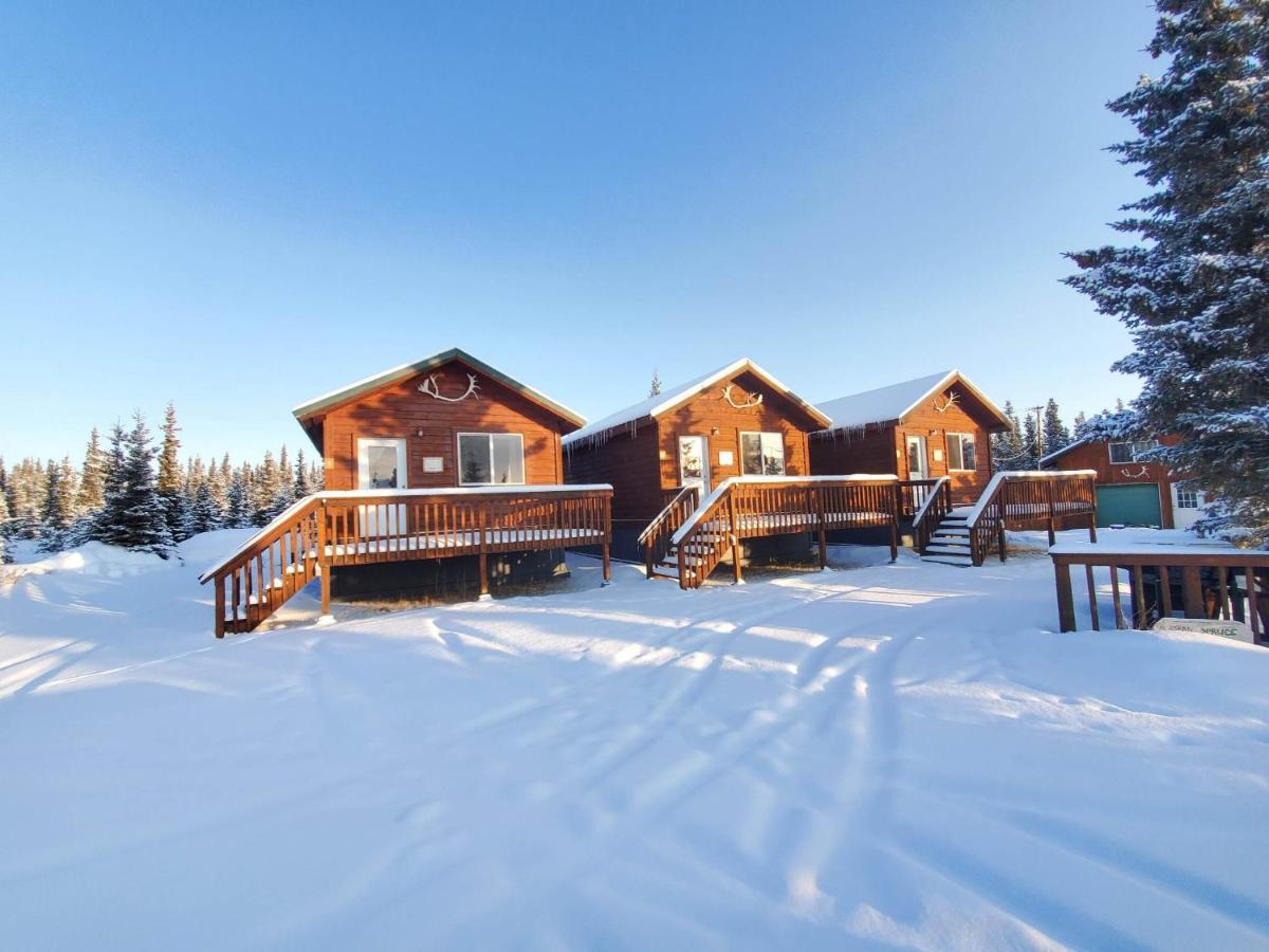 Denali'S Alaskan Spruce Cabins ฮีลี ภายนอก รูปภาพ