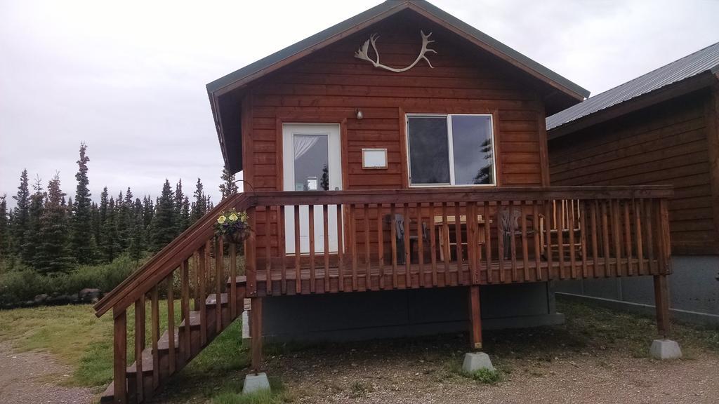 Denali'S Alaskan Spruce Cabins ฮีลี ภายนอก รูปภาพ