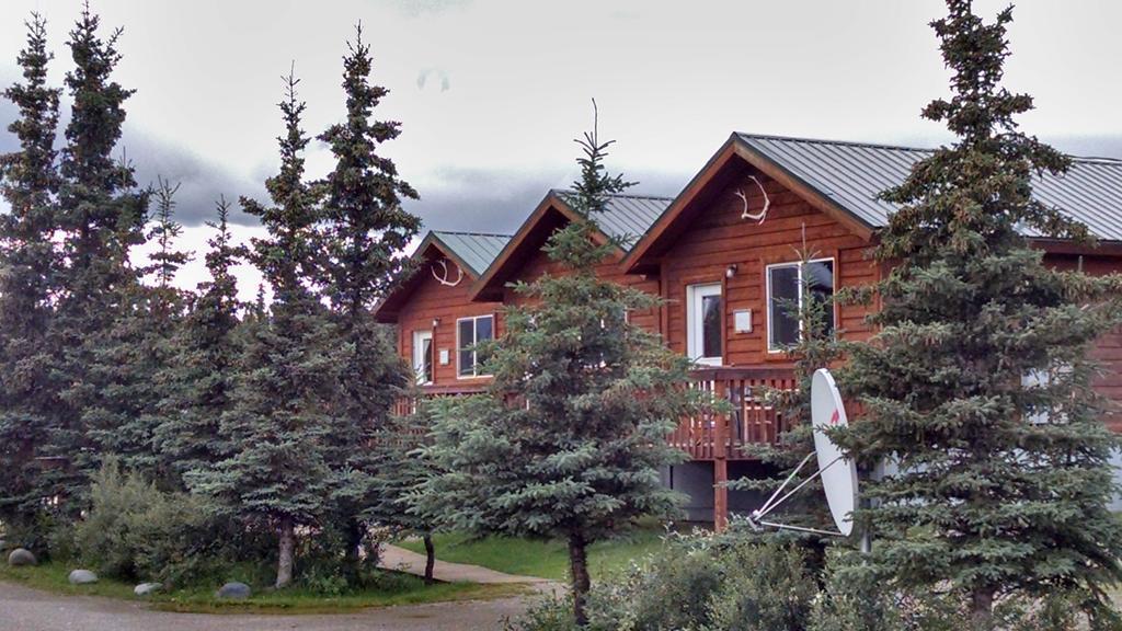 Denali'S Alaskan Spruce Cabins ฮีลี ภายนอก รูปภาพ