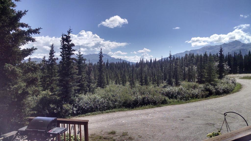 Denali'S Alaskan Spruce Cabins ฮีลี ภายนอก รูปภาพ