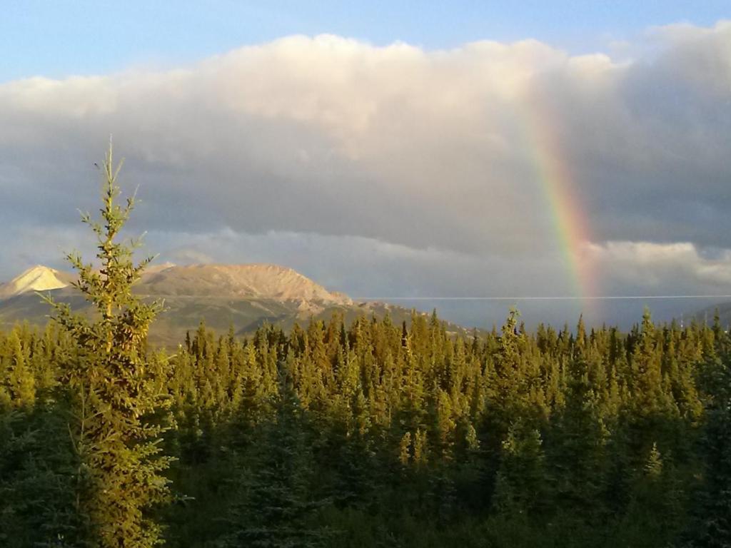 Denali'S Alaskan Spruce Cabins ฮีลี ภายนอก รูปภาพ