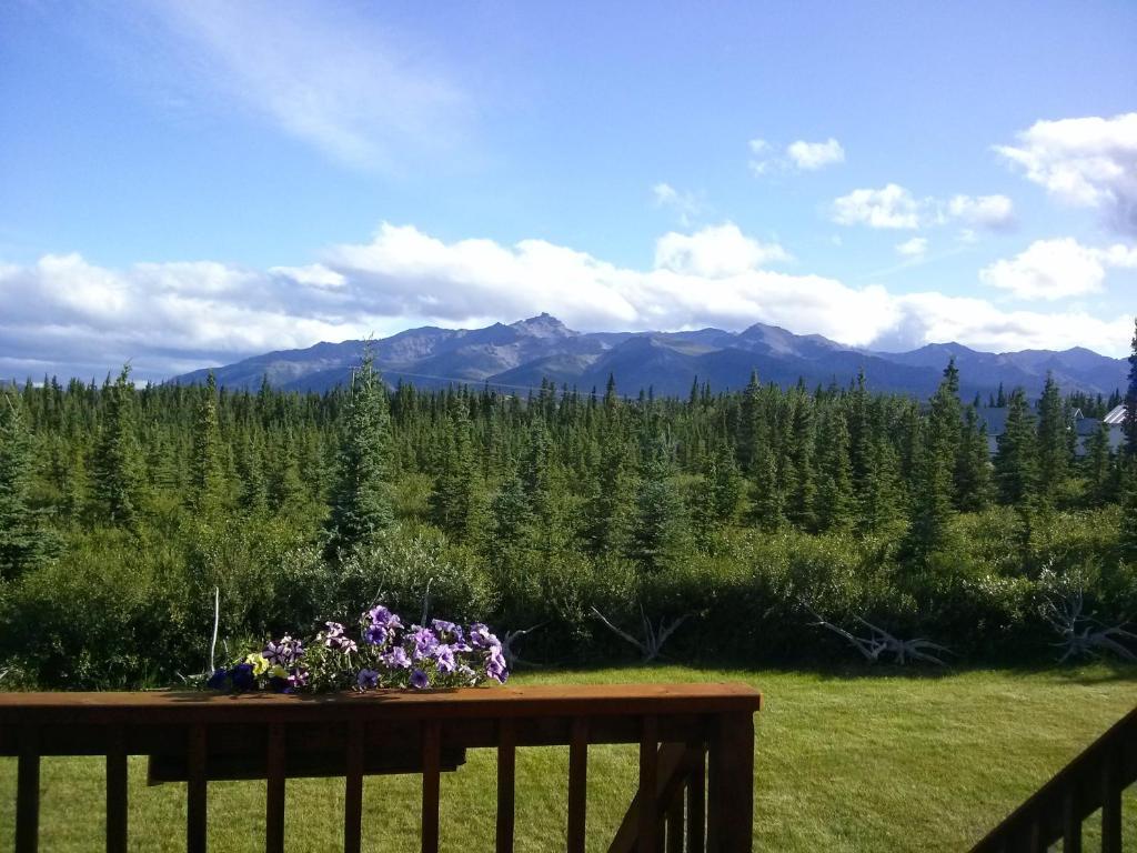 Denali'S Alaskan Spruce Cabins ฮีลี ภายนอก รูปภาพ