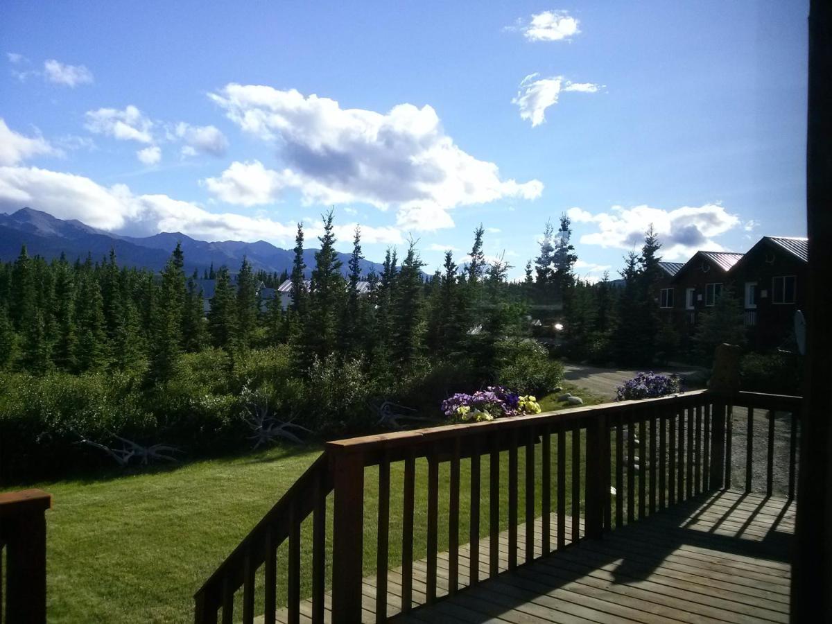Denali'S Alaskan Spruce Cabins ฮีลี ภายนอก รูปภาพ